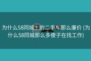 为什么58同城上的二手车那么廉价 (为什么58同城那么多傻子在找工作)