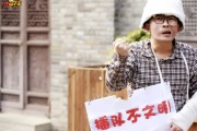 草根站长 SEO究竟该怎样做才好 (草根站长如何逆袭)