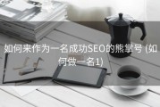 如何来作为一名成功SEO的熊掌号 (如何做一名1)