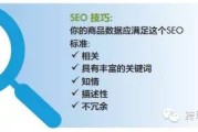 搜索引擎优化（SEO）的起源及电商平台SEO的重要性