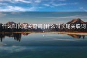 什么叫长尾关键词 (什么叫长尾关联词)