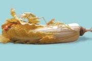 清代牙雕白菜：河南博物院珍藏文物，历经百年仍鲜嫩如初