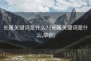 长尾关键词是什么? (长尾关键词是什么,举例)