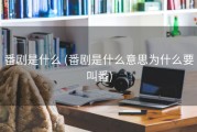 番剧是什么 (番剧是什么意思为什么要叫番)