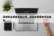 深圳知名网络营销公司，深圳全网营销平台排名