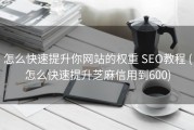怎么快速提升你网站的权重 SEO教程 (怎么快速提升芝麻信用到600)