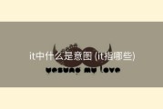 it中什么是意图 (it指哪些)