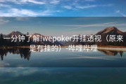 一分钟了解!wepoker开挂透视（原来是有挂的）-哔哩哔哩