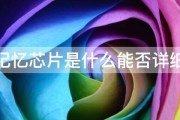 能否详细说说 法国商标的经常使用规则都有哪些 (能详细说说吗)