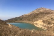 SEO这个未来的开展前景如何 什么是SEO团队 (seo没落了)