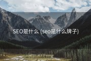 SEO是什么 (seo是什么牌子)