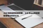 小红书网络营销策划案，小红书app网络营销策略分析的论文