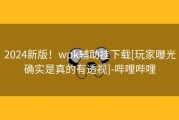 2024新版！wpk辅助挂下载[玩家曝光确实是真的有透视]-哔哩哔哩