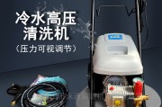 熊猫洗车机怎样样 (熊猫洗车机怎么样)