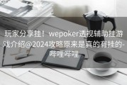 玩家分享挂！wepoker透视辅助挂游戏介绍@2024攻略原来是真的有挂的-哔哩哔哩