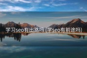 学习seo有出路吗 (学seo有前途吗)