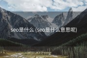 seo是什么 (seo是什么意思呢)