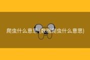 爬虫什么意思 (数据爬虫什么意思)
