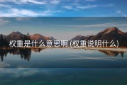 权重是什么意思啊 (权重说明什么)