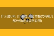 什么是URL (什么是url它的格式有哪几部分组成试举例说明)