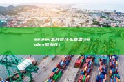 seo lev怎样读 什么意思 (seolev混血儿)