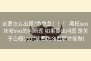 该要怎么出题?急急急！！！ 黑帽seo 灰帽seo的判断题 如果要出问题 是关于白帽seo (该要怎么出题才能做)