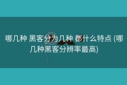 哪几种 黑客分为几种 都什么特点 (哪几种黑客分辨率最高)