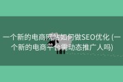 一个新的电商网站如何做SEO优化 (一个新的电商平台需动态推广人吗)