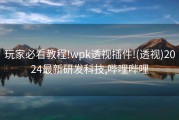 玩家必看教程!wpk透视插件!(透视)2024最新研发科技,哔哩哔哩