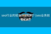 seo行业的就业前景如何? (seo业务前景如何)