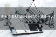 谢谢 那款SEO软件最好用? (谢谢什么?)