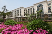 外语专业大学排名 (外语专业大学排行榜中国)