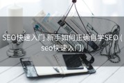 SEO快速入门 新手如何正确自学SEO (seo快速入门)