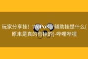 玩家分享挂！WePoKer辅助挂是什么(原来是真的有挂的)-哔哩哔哩