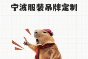 宁波服装吊牌印刷与舟山女装洗水标定制，多维度提升排名获订单