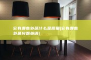 它有哪些外延 什么是质量 (它有哪些外延问题英语)