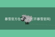 暴雪官方在哪儿? (打开暴雪官网)