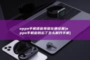 oppo手机语音搜查在哪设置 (oppo手机密码忘了怎么解开手机)