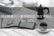 SEO快速入门 新手如何正确自学SEO (seo 入门)
