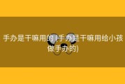 手办是干嘛用的 (手办是干嘛用给小孩做手办的)