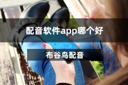 收费配音软件APP清点 收费配音软件排行前十有哪些 (收费配音软件哪个好用)