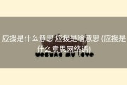 应援是什么意思 应援是啥意思 (应援是什么意思网络语)