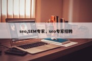 seo,SEM专家，seo专家招聘