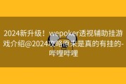 2024新升级！wepoker透视辅助挂游戏介绍@2024攻略原来是真的有挂的-哔哩哔哩