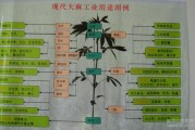 详细用途如下 附子的效用与作用 (详细作用)