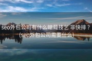 seo外包公司有什么暗藏技艺 非快排 ? (seo外包公司需要什么)