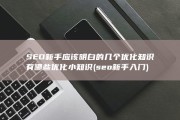 SEO新手应该明白的几个优化知识有哪些 优化小知识 (seo新手入门)