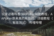 玩家必看科普!WePoKer辅助教程，AAPoKer原来真的有挂的，详细教程（有挂测试）-哔哩哔哩