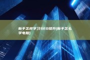 新手怎样学习SEO提升 (新手怎么学电脑)