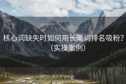 核心词缺失时如何用长尾词排名吸粉？（实操案例）